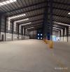 Cho thuê kho tổng khuôn viên 6100m2 giá tốt ngay MT Tỉnh Lộ 8, Xã Tân Thạnh Đông, Củ Chi