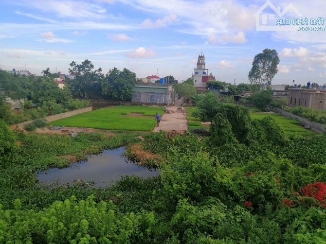 Đất đông trà, tiền hải, thái bình