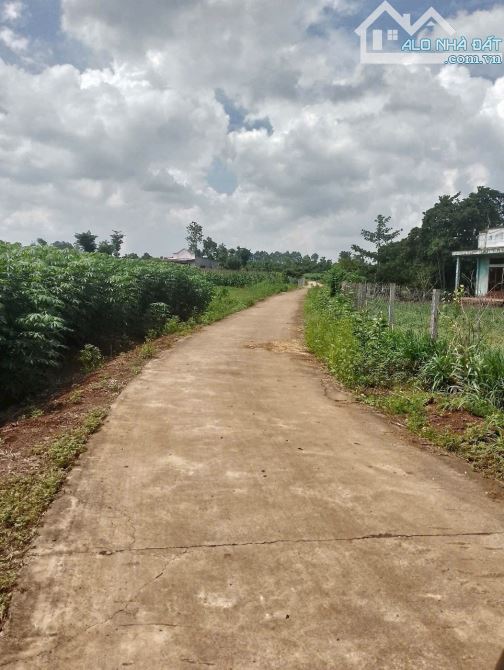 BÁN ĐẤT TẠI SÔNG RAY CẨM MỸ ĐỒNG NAI, DT 6800M2 ĐẤT ĐỎ, ĐƯỜNG BÊ TÔNG THÔNG, GIÁ CHỈ 3.55