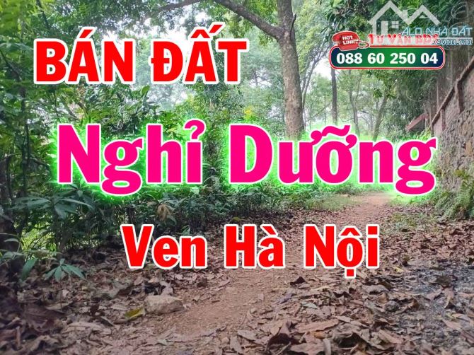 Bán đất nghỉ dưỡng, cạnh Rùa House ở Tiên Phương (đồi Họa Sỹ), Tiên Phương, Chương Mỹ, HN