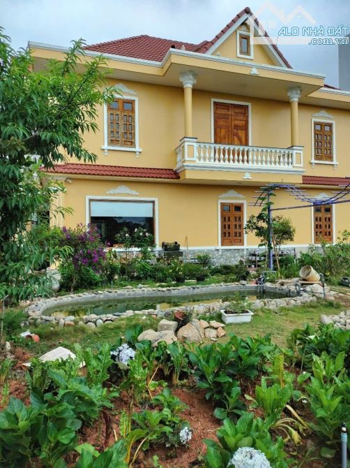 Villa Sân Vườn 3 Mặt Tiền. Trịnh Hoài Đức. P11. 805m2. Ngang 25m. Giá 45 Tỷ TL - 1