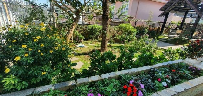 Villa Sân Vườn Trần Quang Khải. P8. 596m2. Giá 17 tỷ còn thương lượng - 2