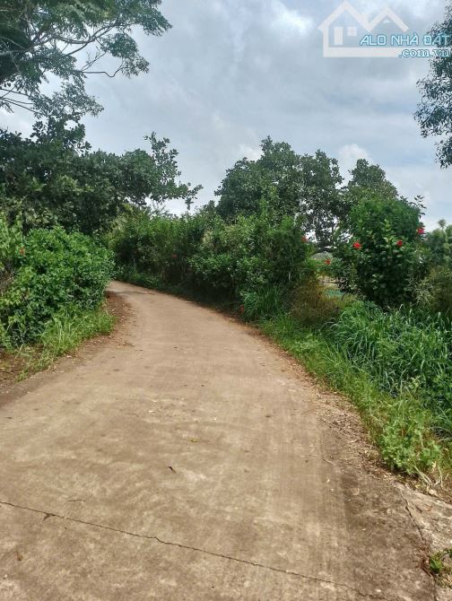 BÁN ĐẤT TẠI SÔNG RAY CẨM MỸ ĐỒNG NAI, DT 6800M2 ĐẤT ĐỎ, ĐƯỜNG BÊ TÔNG THÔNG, GIÁ CHỈ 3.55 - 2