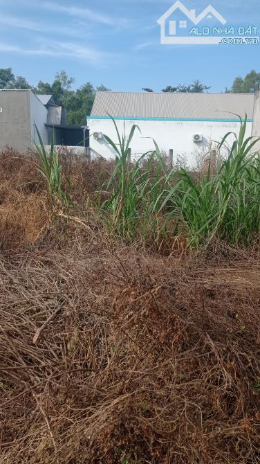 Cần bán đất mặt tiền đường nhựa nhánh của đường quốc lộ 60 thuộc  lương Hòa Châu Thành TV