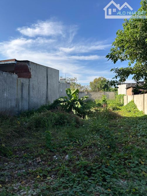 Bán Lô Đất Biệt Thự 400M2, Sổ riêng Thổ Cư gần Giáo Xứ Thuận Hoà, Khu Dân Cư Tân Phong - 3