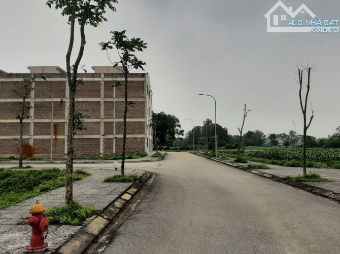 BĐS an cư! Gia đình anh bạn cần bán ô đất dự án Hưng Lộc Home, lối 2 đường 35m - 3