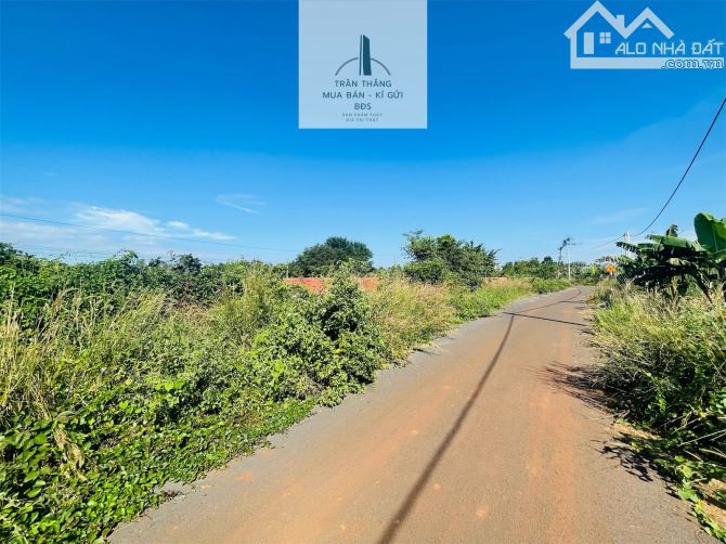 BÁN NHANH LÔ ĐẤT XÃ BÌNH TRUNG - KHU DÂN CƯ - 2MT ĐƯỜNG NHỰA - 3