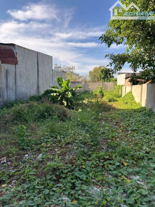 Bán Lô Đất Biệt Thự 400M2, Sổ riêng Thổ Cư gần Giáo Xứ Thuận Hoà, Khu Dân Cư Tân Phong - 4