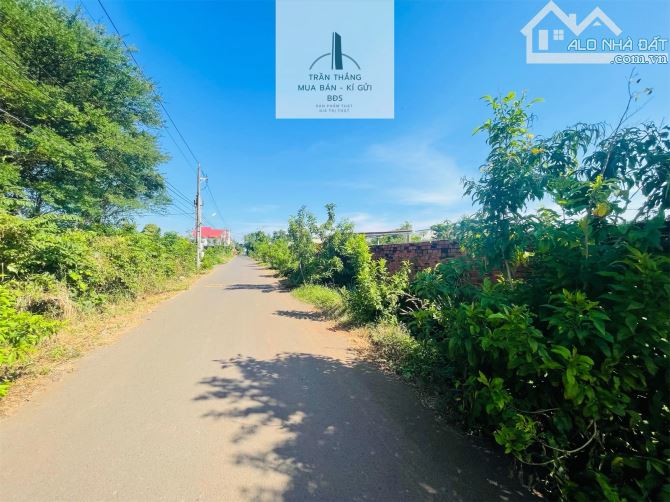 BÁN NHANH LÔ ĐẤT XÃ BÌNH TRUNG - KHU DÂN CƯ - 2MT ĐƯỜNG NHỰA - 4