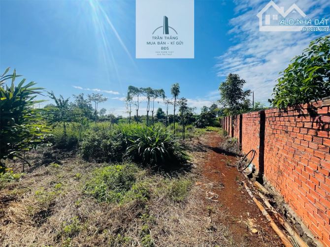 BÁN NHANH LÔ ĐẤT XÃ BÌNH TRUNG - KHU DÂN CƯ - 2MT ĐƯỜNG NHỰA - 6
