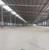 Cho thuê kho xưởng: 3000m2, 5.500m2, 10.000m2, tại CCN Tân Quang, Văn Lâm