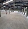 Cho thuê kho xưởng mới đẹp - KCN Tân An,Long An, X : 4.000m2 - 7.000m2