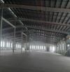 Cho thuê kho xưởng đẳng cấp-Bến Lức, Long An, KV: 19.000m2,X: 12.000m2