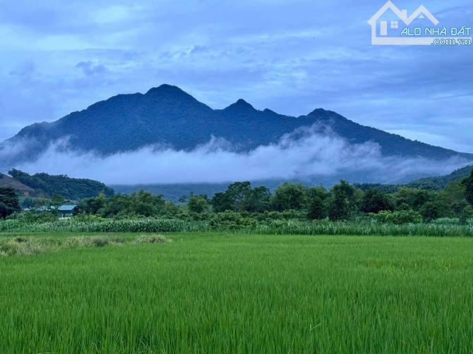 SIÊU ĐẸP, đất Vân Hòa Ba Vì gần Yên Bài 509m, 3 mặt tiền, view cánh đồng & núi, chỉ 3.58tỷ