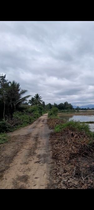 Bán nhanh lô đất Sào, có Thổ cư  Suối Lau 1 - Suối Cát -  Cam Lâm -  Khánh Hoà