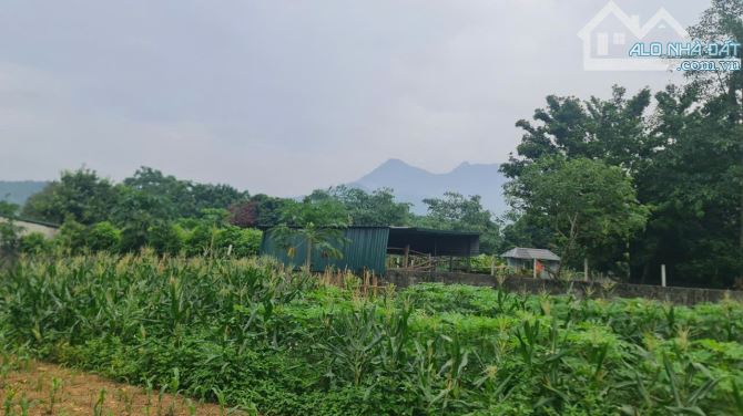 SIÊU ĐẸP, đất Vân Hòa Ba Vì gần Yên Bài 509m, 3 mặt tiền, view cánh đồng & núi, chỉ 3.58tỷ - 1