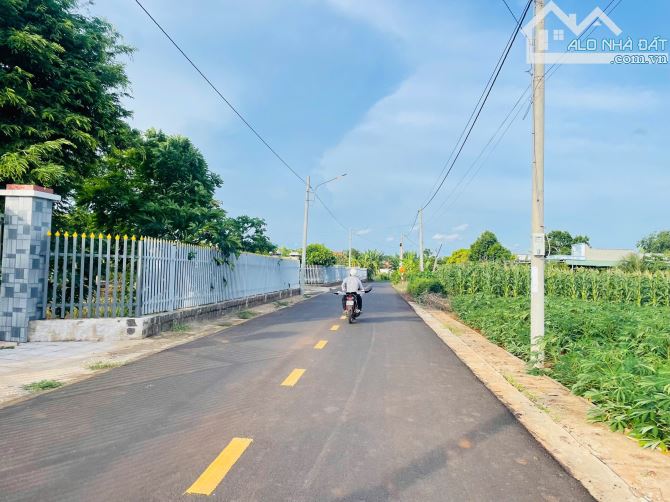 Bán 1000m2 .16m mặt tiền đường nhựa, khu dân cư trung tâm thị trấn Đất Đỏ - 1