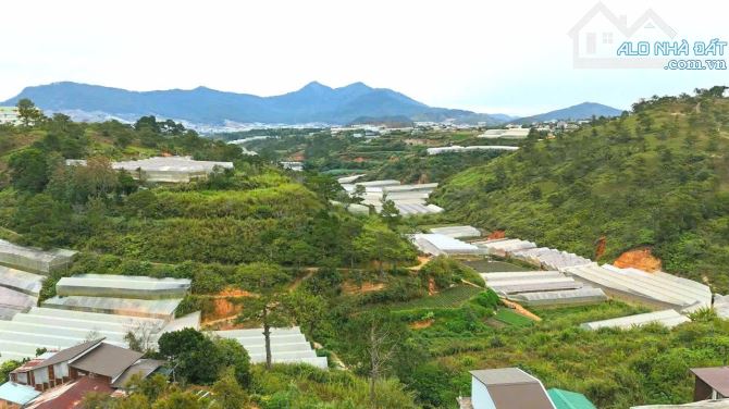 Bán đất view đồi thông khu dân cư trung tâm gần ngã Sân Vận Động Đà Lạt - 1