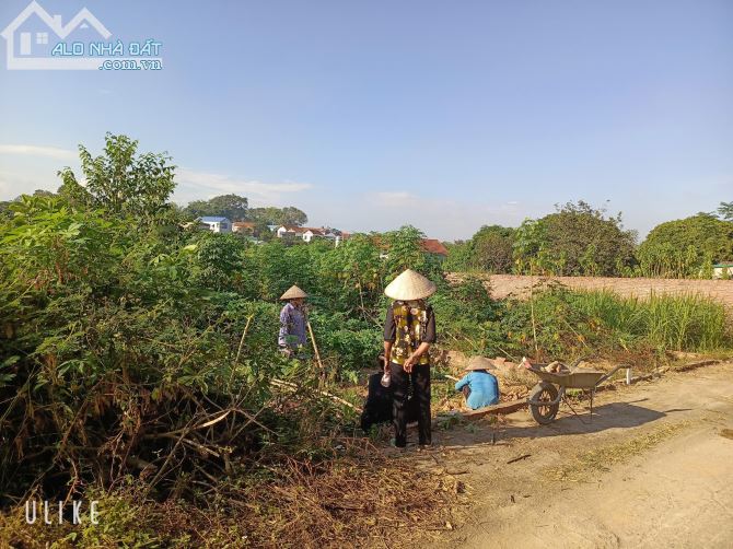 CẦN BÁN LÔ ĐẤT HOA HẬU TRỤC LIÊN THÔN THẮNG TRÍ - Xã Minh Trí - Huyện Sóc Sơn - 2