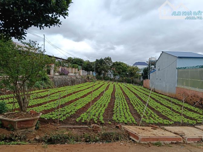 Đất 2 mặt tiền trung tâm Liên Nghĩa, Đức Trọng, Lâm Đồng cách sân bay Liên Khương 1km - 2