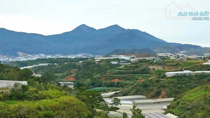 Bán đất view đồi thông khu dân cư trung tâm gần ngã Sân Vận Động Đà Lạt - 2
