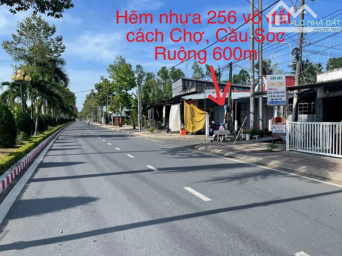 Đất nền thổ 100%, mặt tiền nhựa trục chính đường 30/4, cách Chợ, Cầu Sóc Ruộng 600m - 7