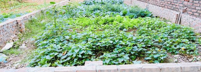 BÁN GẤP HOA HẬU 80M Ô TÔ NGỦ TRONG ĐẤT TIÊN DƯƠNG - 2