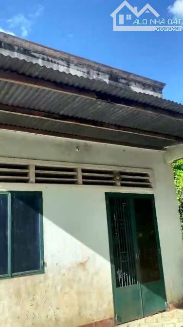 bán căn nhà cũ rộng . Đất  12x35  (330m2 thổ cư ) - 2