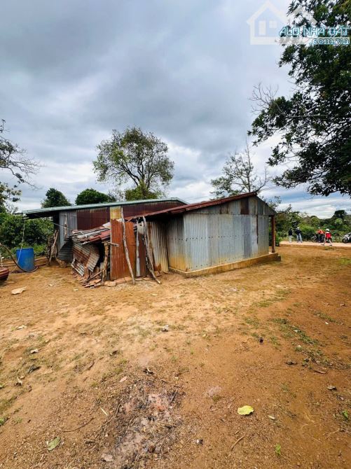 Bán đất làng Ngó, iakenh pleiku gia lai - 2