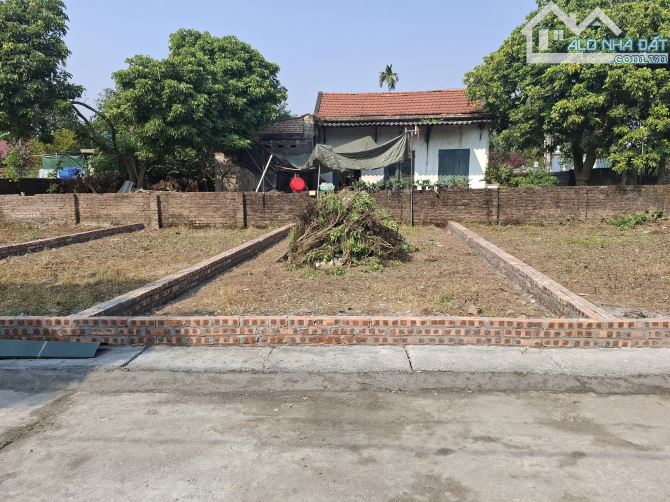 Bán đất Liên Nghĩa Văn Giang Hưng Yên Dt : 147m2 * 7,9/8,3m * 5,2  tỷ - 2