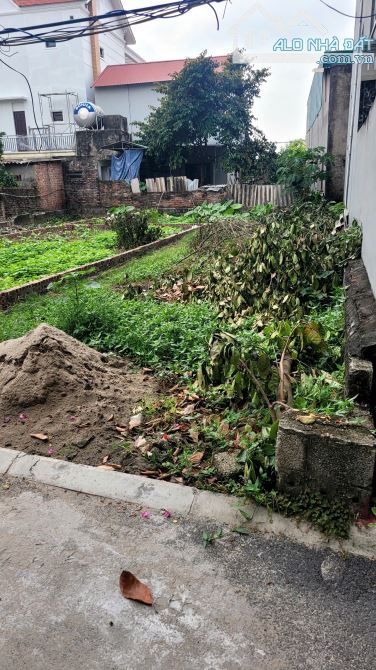 Bán đất Ngô Xuân Quảng trung tâm Trâu Quỳ diện tích 44m2 giá 4.8 tỷ - 2