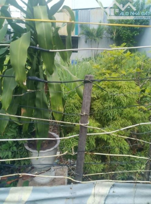 Bán Đất SR thổ cư DT: 4,5 x 20 nở hậu 5,5M, 2tỷ750, gần KDC phường Tân Phong. - 3