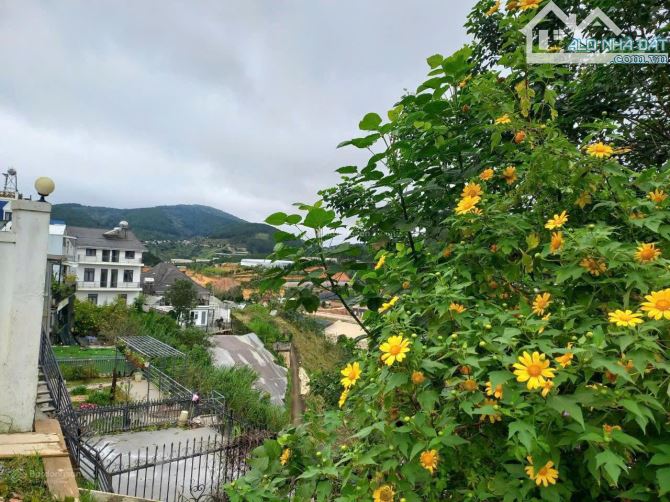 Đất Biệt Thự 276m2 Khu Biệt Thự An Sơn. P4. View Thung Lũng. Giá 15,5 Tỷ - 3