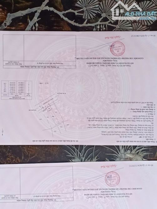 DT ngang 5x21=115m thổ cư fuii. Mặt tiền đường Trần Quang Đạo 12m.