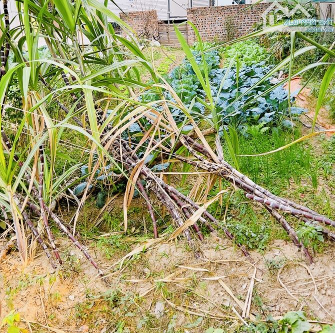 CẦN BÁN GẤP ĐẤT ĐẸP 2 MẶT NGÕ Ô TÔ VÀO TẬN NƠI ZÁ RẺ BẮC HỒNG