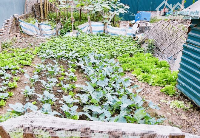 CHỈ CÒN 1 LÔ DUY NHẤT ZÁ RẺ Ô TÔ VÀO TẬN ĐẤT #HẢIBỐI