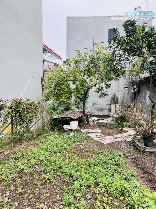 BÁN ĐẤT NGÔ XUÂN QUẢNG-TRÂU QUỲ GIA LÂM-NGÕ NÔNG-Ô TÔ ĐỖ CỬA -DT43m2-3,95 TỶ - 1