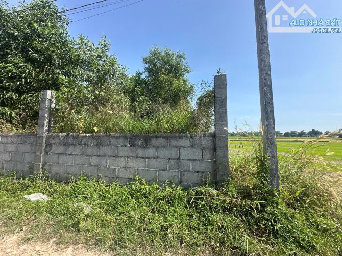 🎯10x37(378,8m2) Hẻm Đinh Bộ Lĩnh, Phước Lộc, LaGi - 2