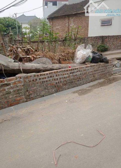 SỞ HỮU NGAY MẢNH ĐẤT VÀNG 50M2 TẠI VĨNH NGỌC – CƠ HỘI KHÔNG THỂ BỎ LỠ! - 2