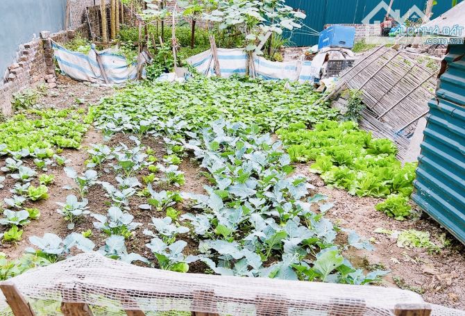 CHỈ CÒN 1 LÔ DUY NHẤT ZÁ RẺ Ô TÔ VÀO TẬN ĐẤT #HẢIBỐI - 2