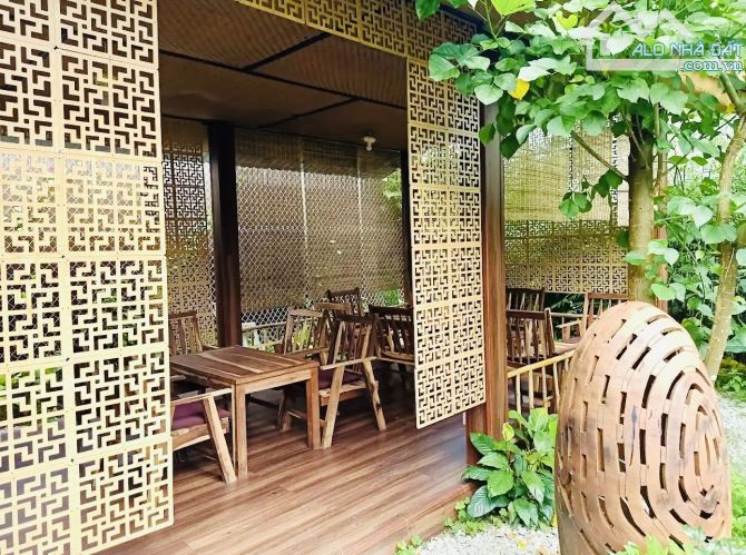 CĂN CAFE SÂN VƯỜN XINH XẮN MẶT TIỀN ĐƯỜNG HỒ XUÂN HƯƠNG P9 ĐÀ LẠT 600M2 40TỶ TL - 2