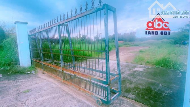 D379 Lô mặt tiền Phùng Hưng An Viễn Trảng Bom Dt 5310m2 có 100m2 ont 27x200m Zá 29,6 tỷ đồ - 3