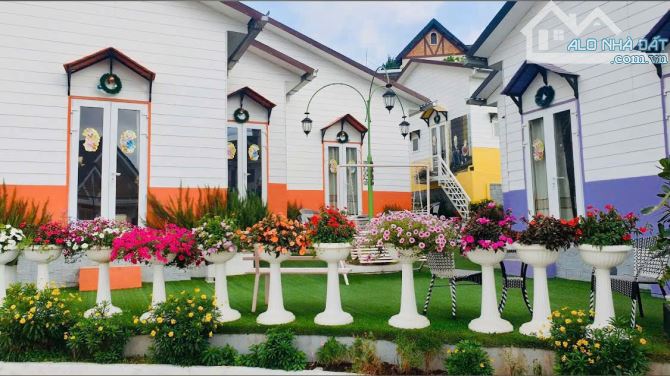 cần bán đất có sẵn 5 căn homestay mặt tiền Trạng Trình 936m² cách Hồ Xuân Hương 500m 57 tỷ - 3