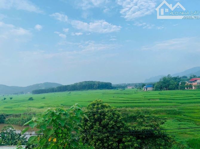 Cần bán đất view đẹp 1600m2 tại Cao Sơn, Lương Sơn, Hoà Bình - 3