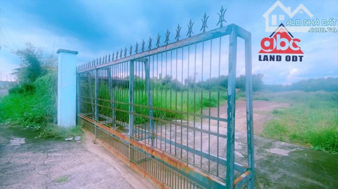 D379 Lô mặt tiền Phùng Hưng An Viễn Trảng Bom Dt 5310m2 có 100m2 ont 27x200m Zá 29,6 tỷ đồ - 4