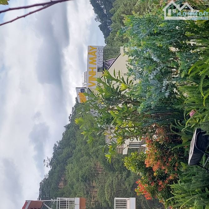 Cần bán lô đất Hoàng Hoa Thám- P10 Đà Lạt 500m Xây dựng- 🔥18 tỷ 500 - 4