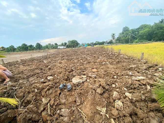 Hàng Thơm, 1000m2 đất có 431m2 đất thổ cư thị trấn Tân Trụ, 2.5 tỷ