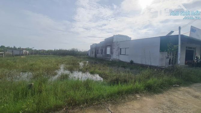 🔵10x35(351m2) Phước Linh Tân Phước LaGi Giá Rẻ - 1