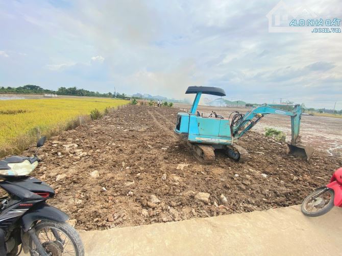 Hàng Thơm, 1000m2 đất có 431m2 đất thổ cư thị trấn Tân Trụ, 2.5 tỷ - 1