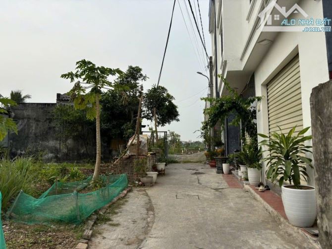 🏘️🏘️Bán lô đất ngõ 54 Tràng Cát, Hải An 56m2 giá chỉ 990 triệu - 1